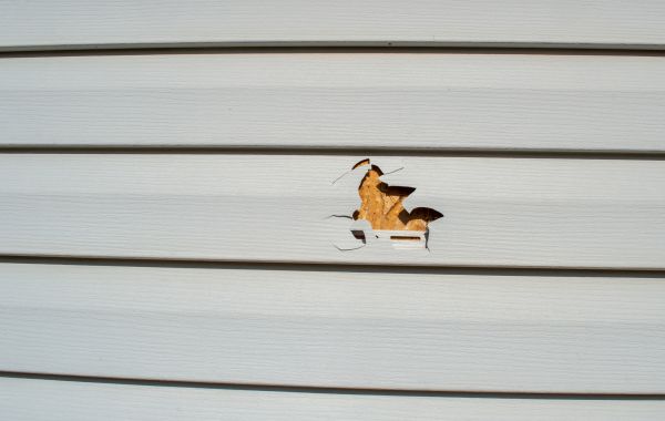Cost of Siding Hole Patching in New Castle